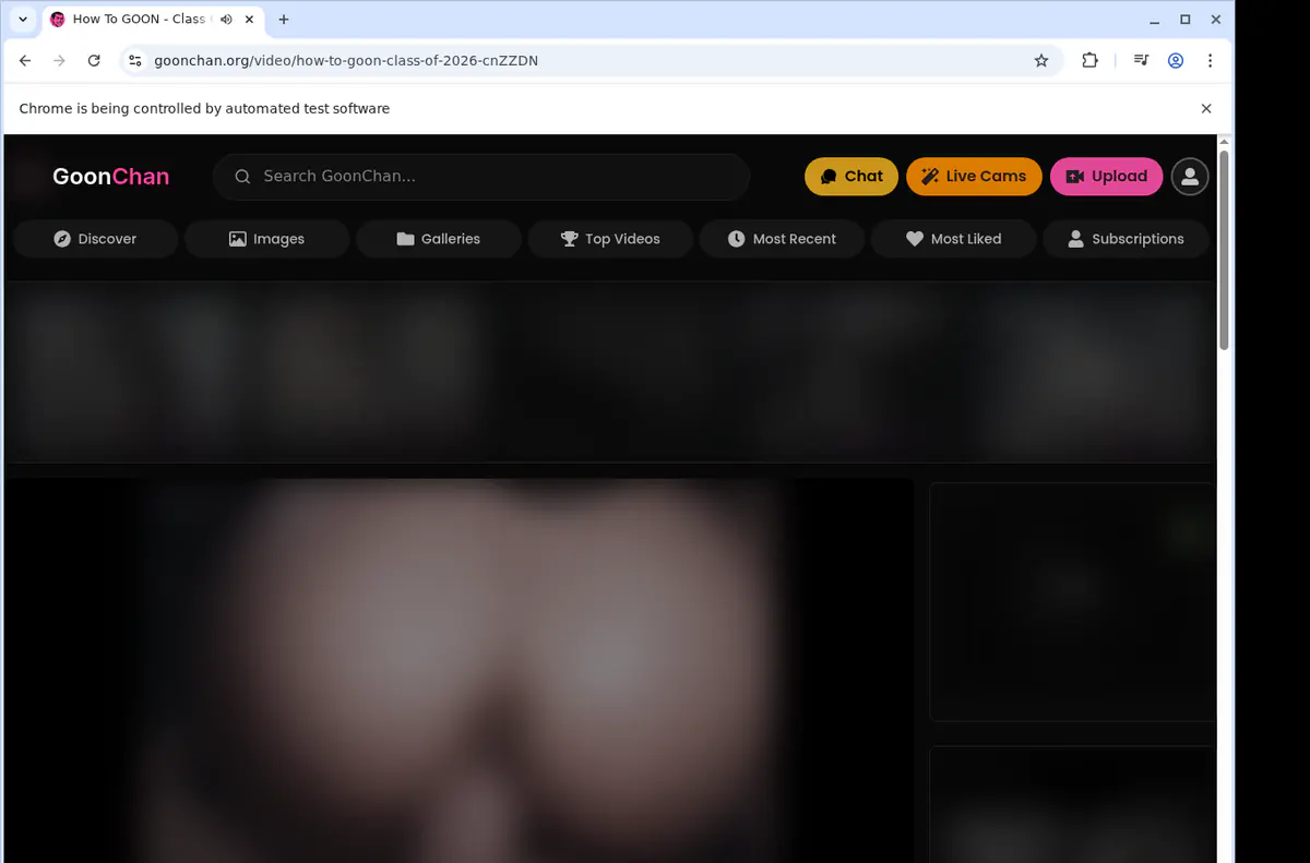 Goonchan Video Downloader screenshot 2