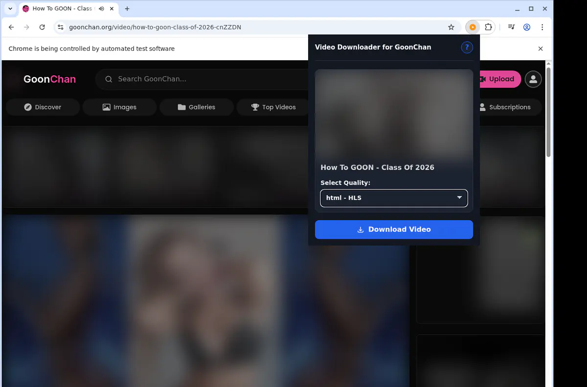 Goonchan Video Downloader screenshot 3