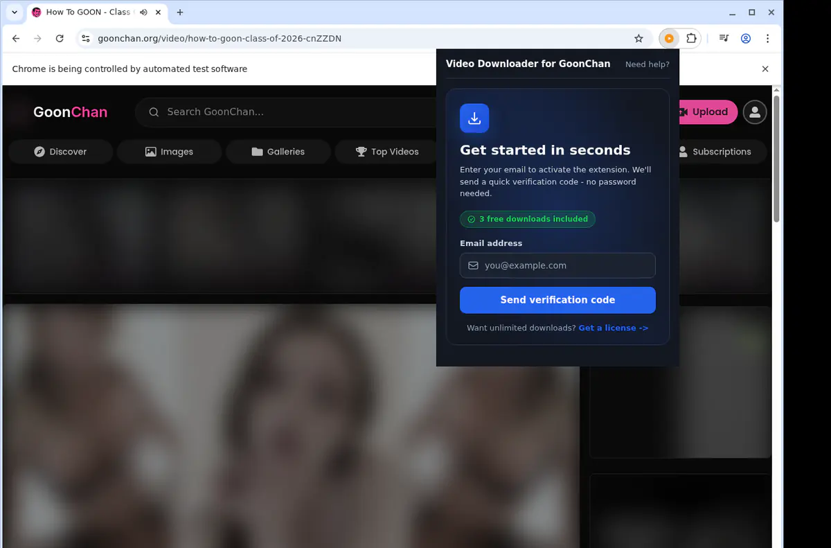 Goonchan Video Downloader screenshot 5